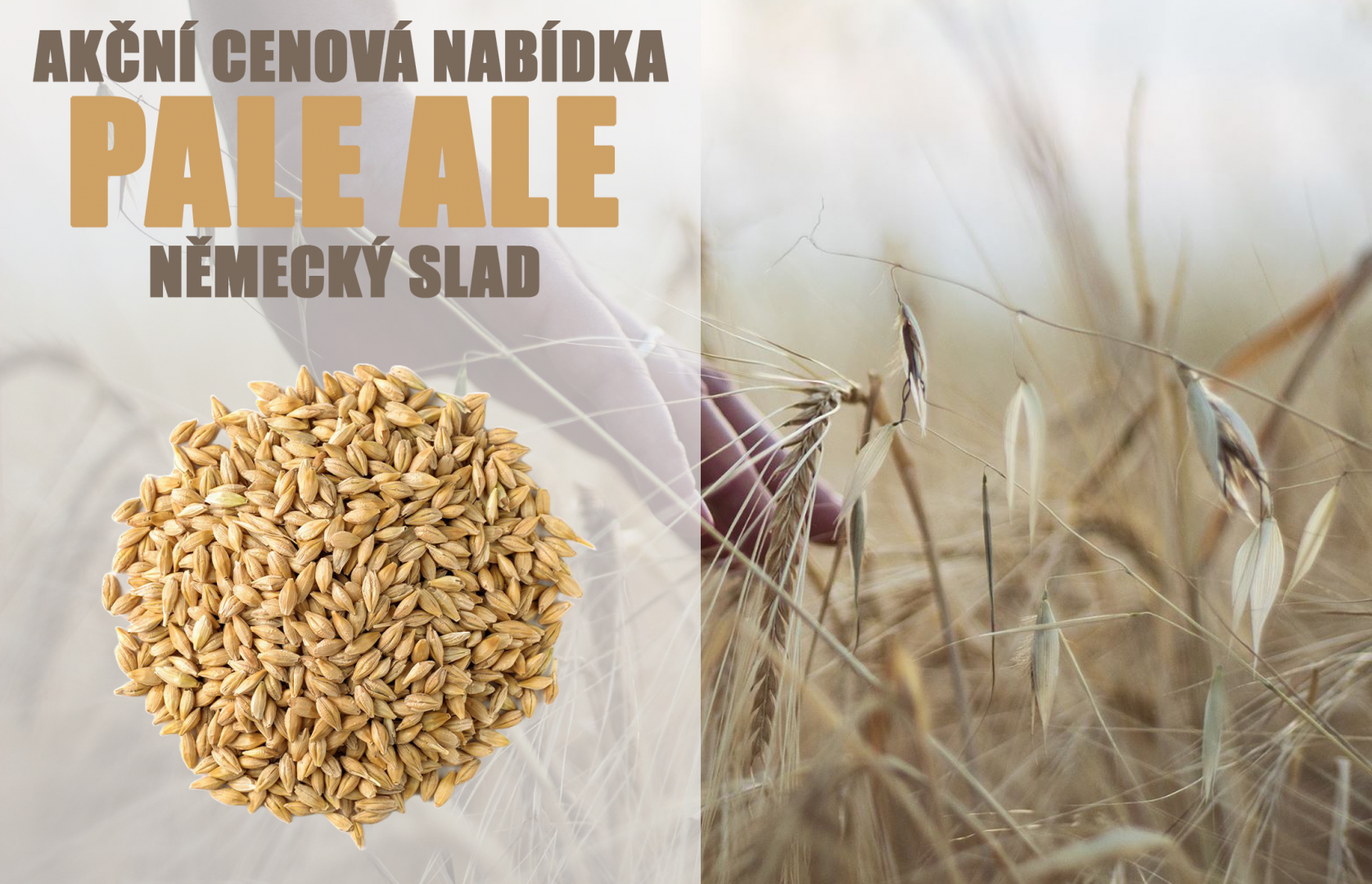 ÚNOROVÁ AKČNÍ NABÍDKA - Obrázek