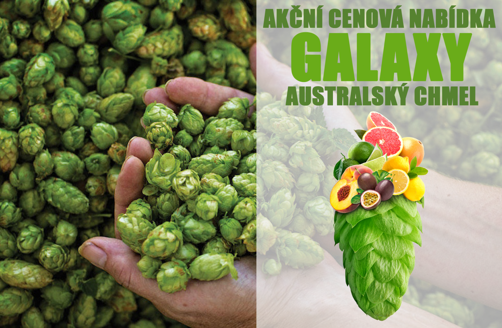 ÚNOROVÁ AKČNÍ NABÍDKA - Obrázek