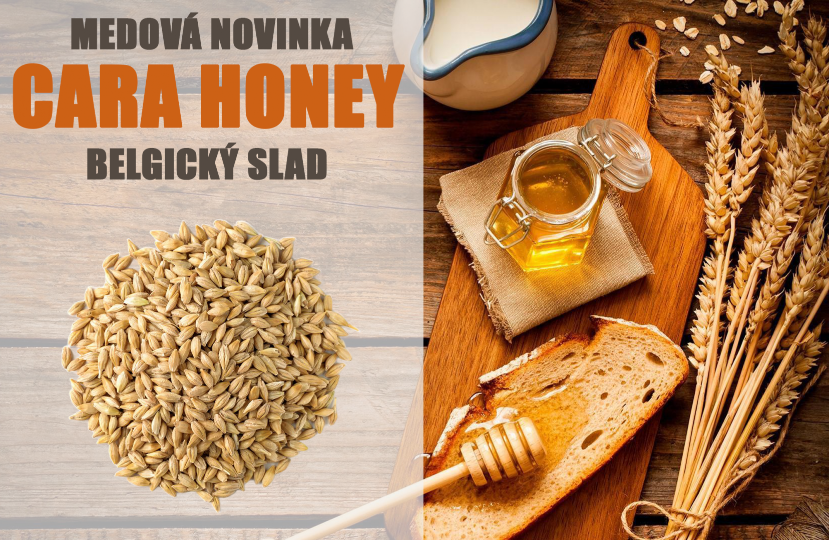 MEDOVÁ NOVINKA - Obrázek