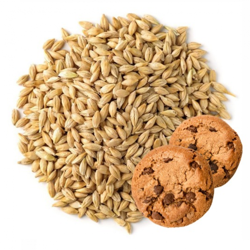 Produkt - Biscuit® (Slad sušenkový)