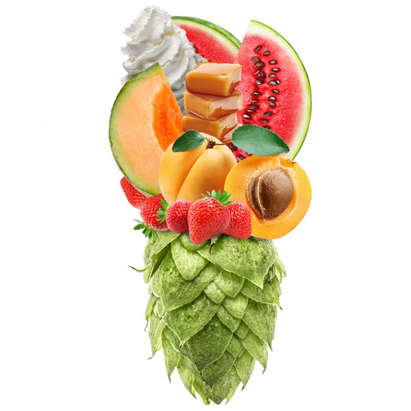 Produkt - Chmel Fantasia (Německo)