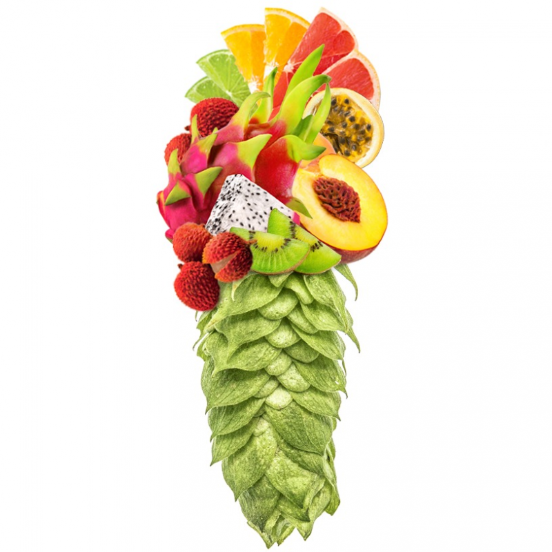 Produkt - Chmel Galaxy (Austrálie)