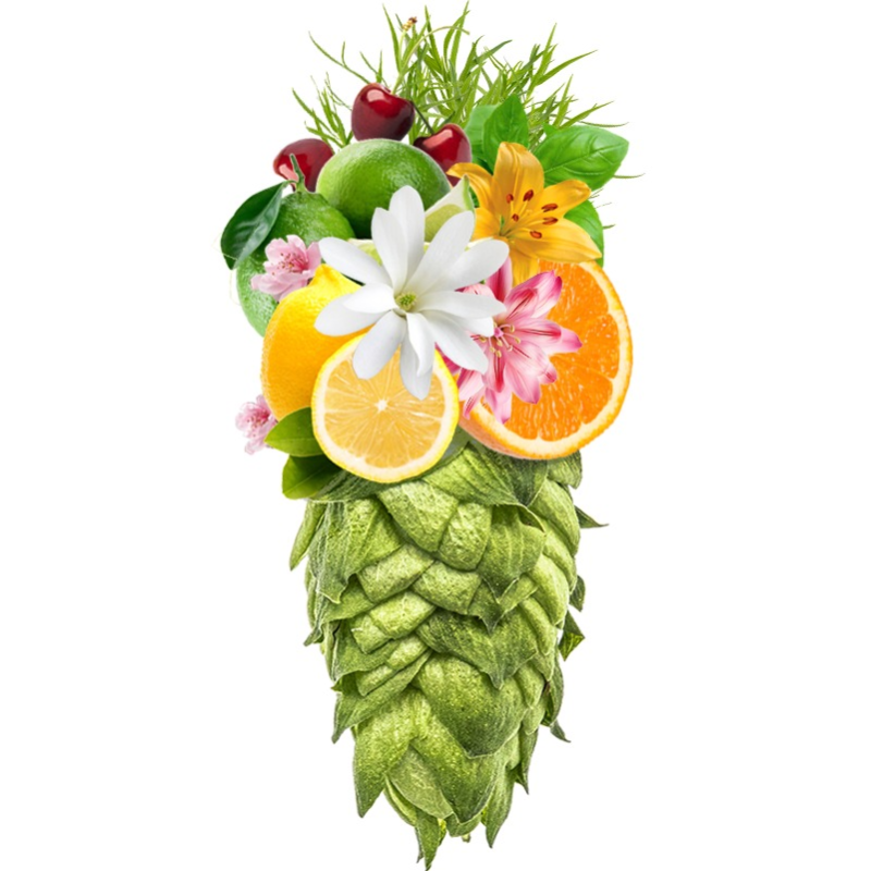 Produkt - Chmel Hallertau Tradition (Německo)