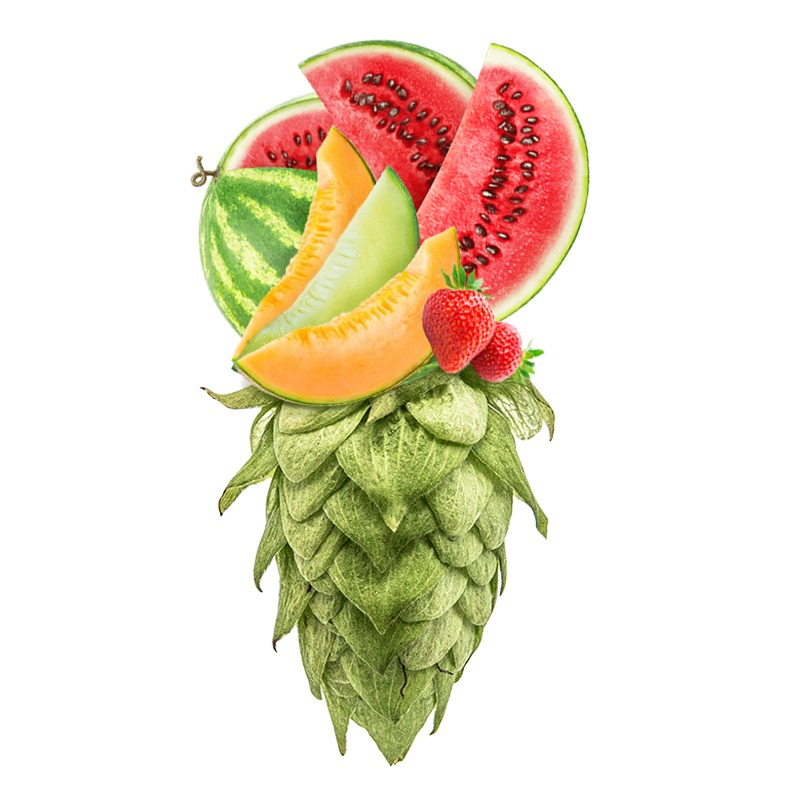 Produkt - Chmel Huell Melon (Německo)