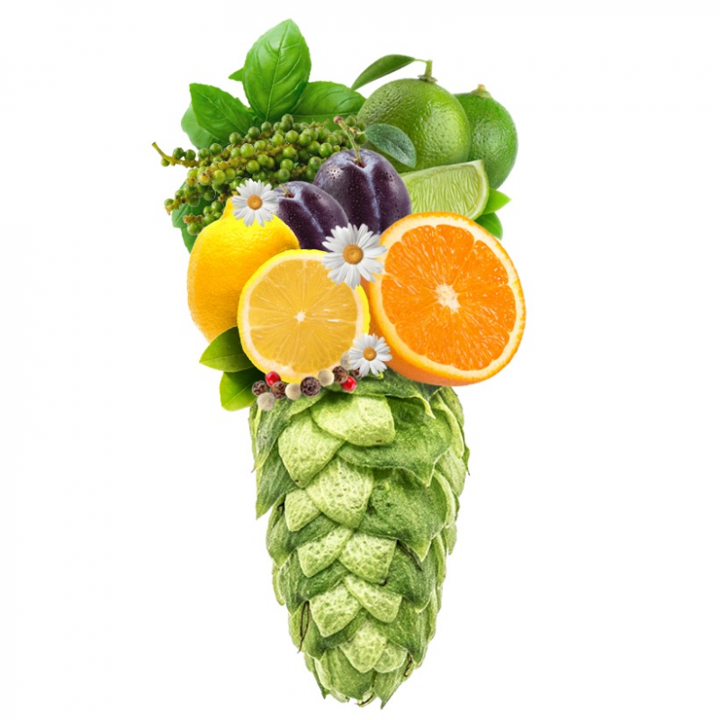 Produkt - Chmel Loral (USA)