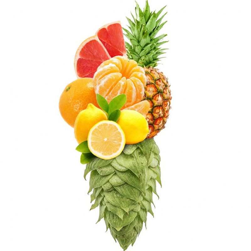 Produkt - Chmel Mandarina Bavaria (Německo)