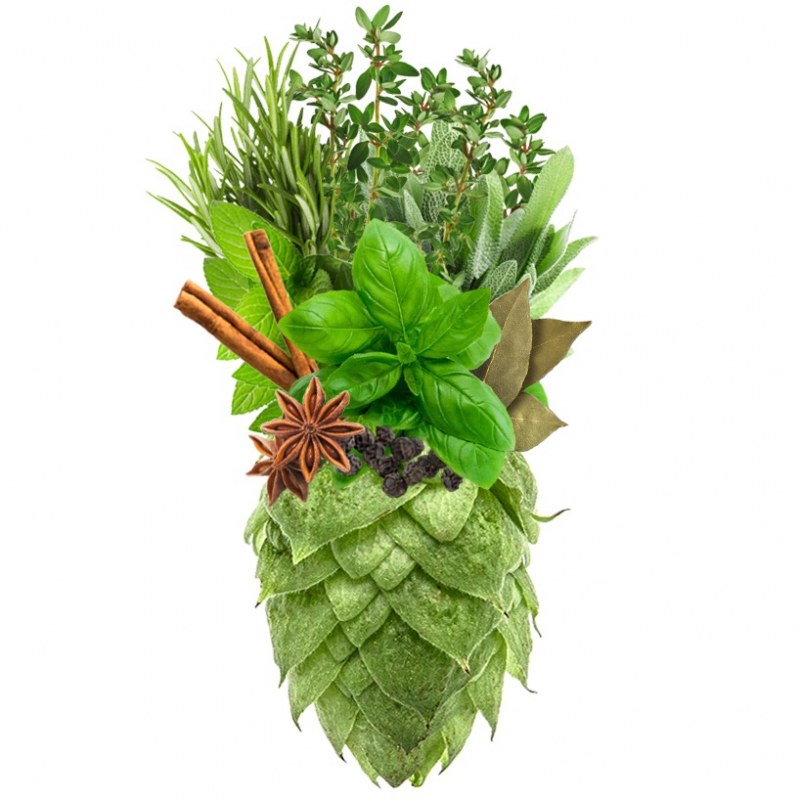 Produkt - Chmel Saaz Comfort (Česká republika)