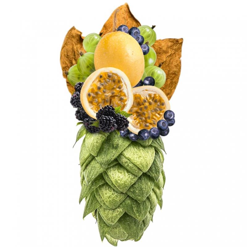 Produkt - Chmel Topaz (Austrálie)