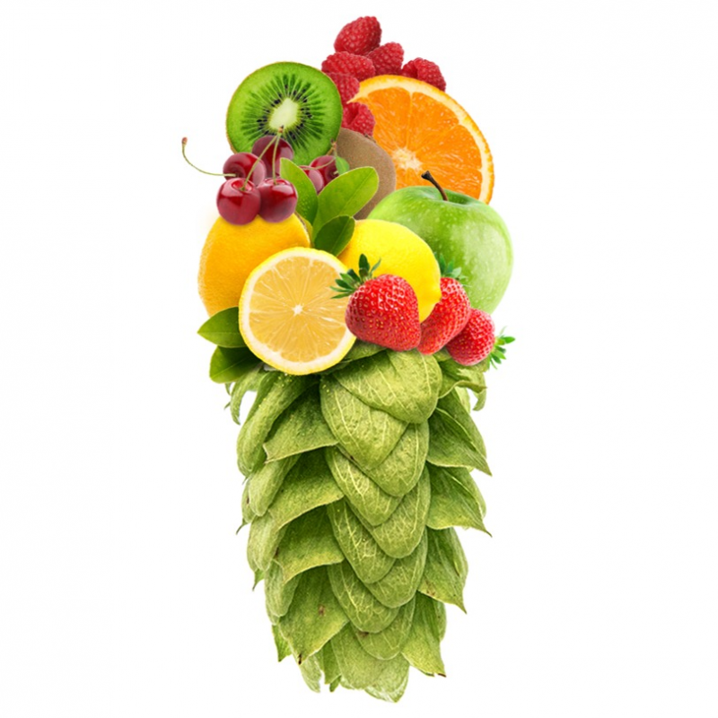 Produkt - Chmel Willamette (USA)