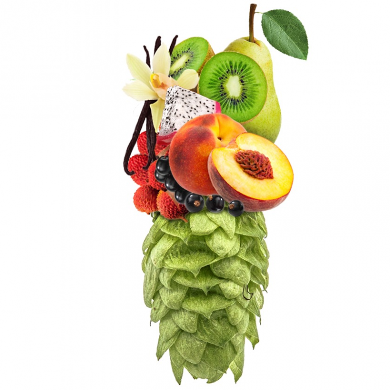 Produkt - Chmel Ariana (Německo)