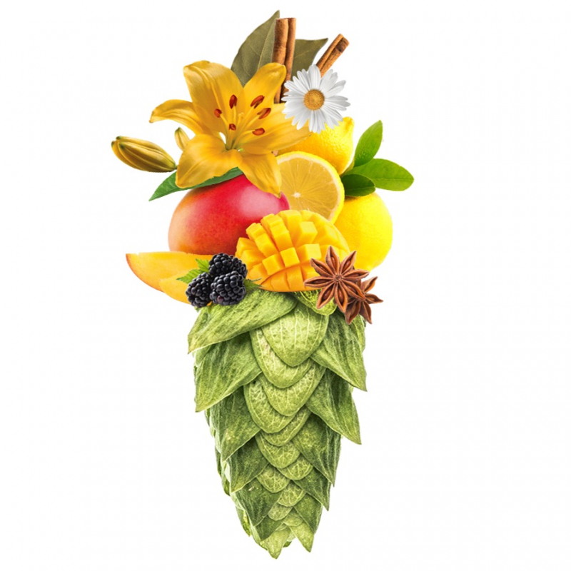 Produkt - Chmel Cascade (USA)