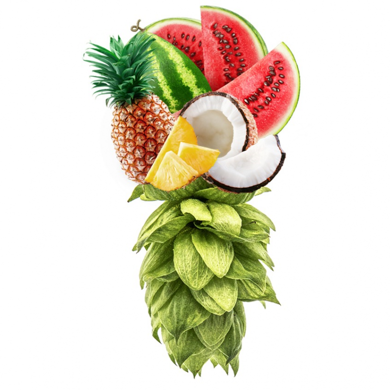 Produkt - Chmel Cashmere (USA)