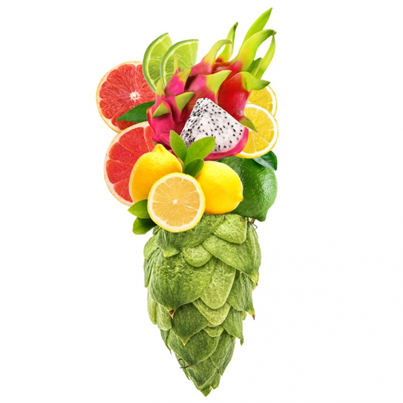 Produkt - Chmel Citra (USA)