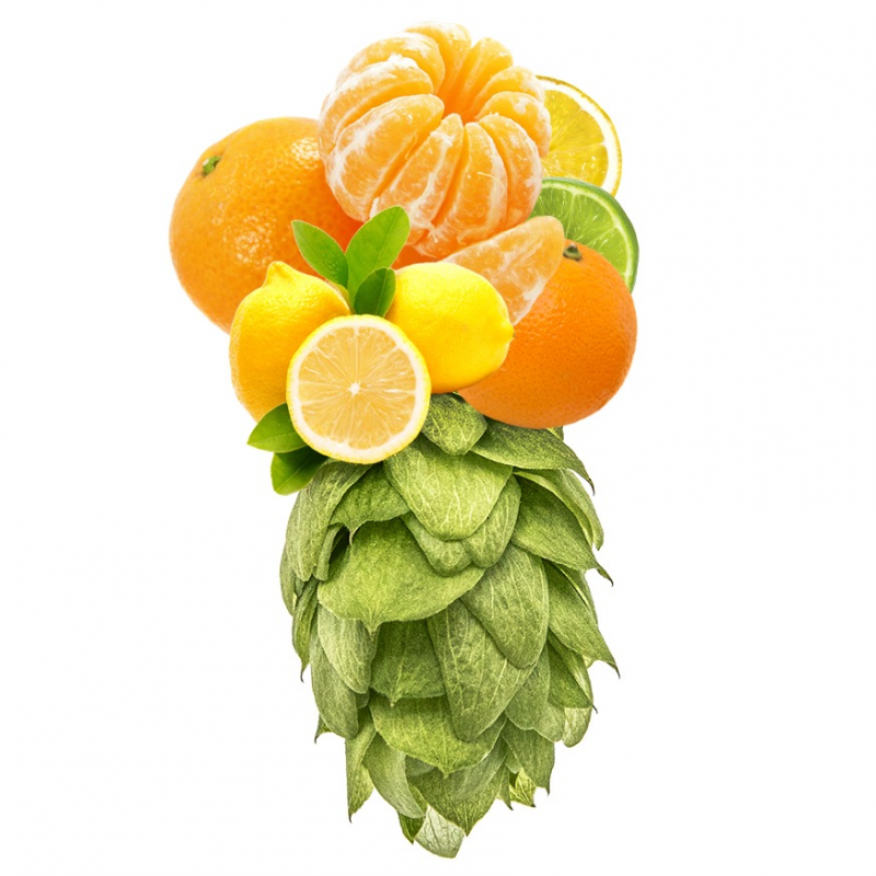 Produkt - Chmel Crystal (USA)