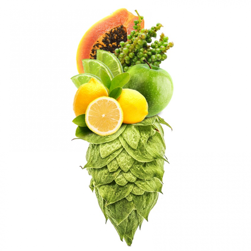 Produkt - Chmel Ekuanot (USA)