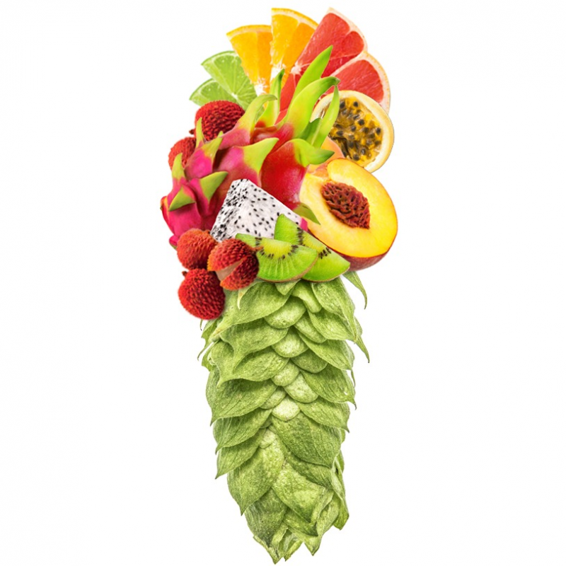 Produkt - Chmel Galaxy (Austrálie)