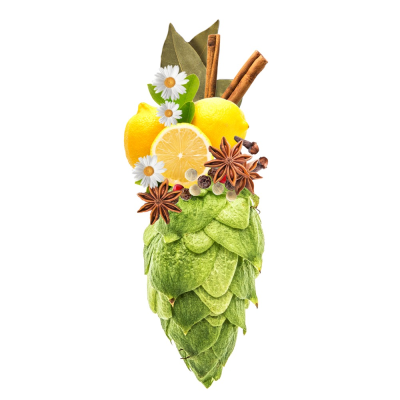 Produkt - Chmel Harmonie (Česká republika)