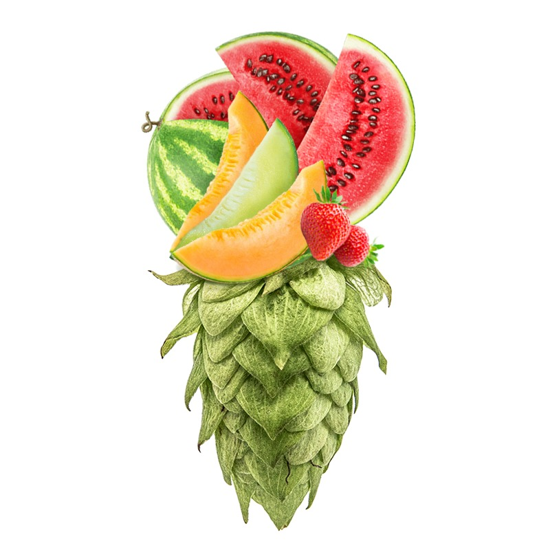 Produkt - Chmel Huell Melon (Německo)