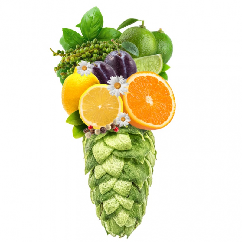 Produkt - Chmel Loral (USA)