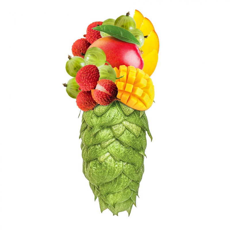 Produkt - Chmel Nelson Sauvin (Nový Zéland)