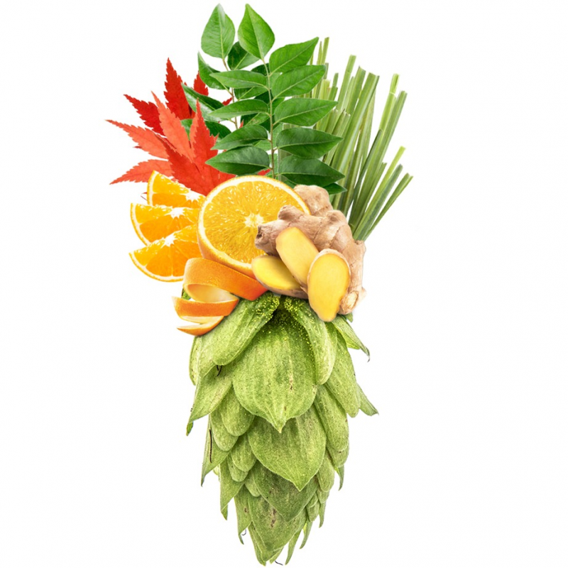 Produkt - Chmel Sorachi Ace (USA)