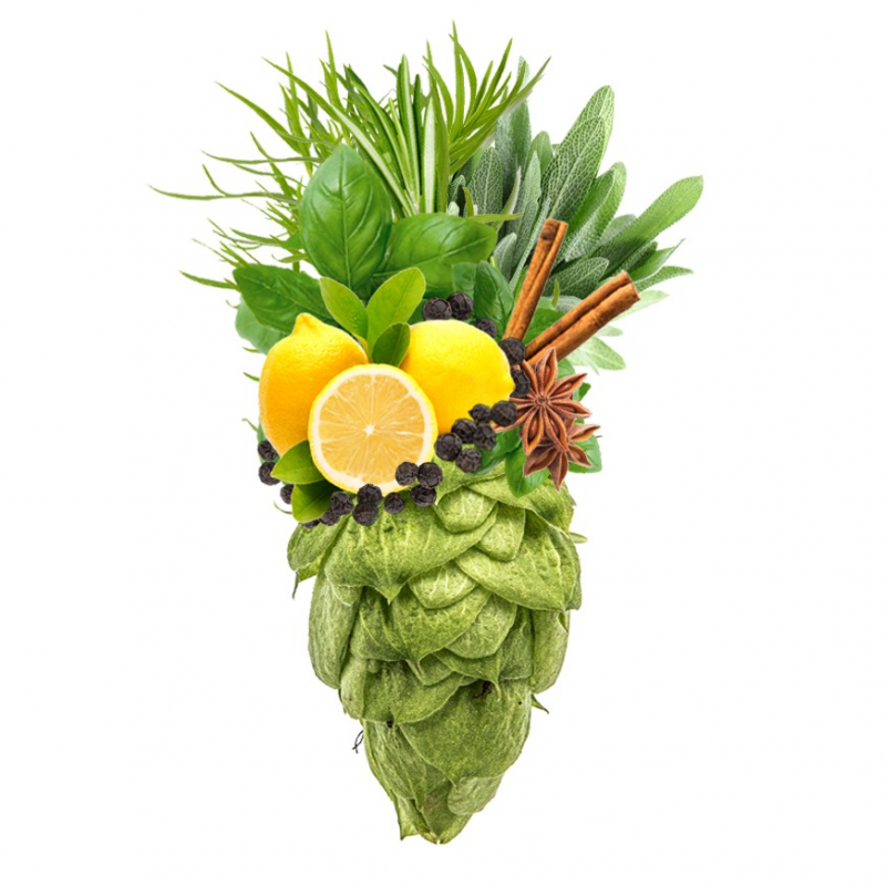 Produkt - Chmel Sterling (USA)