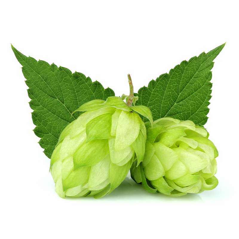 Produkt - Chmel TnT (Německo)