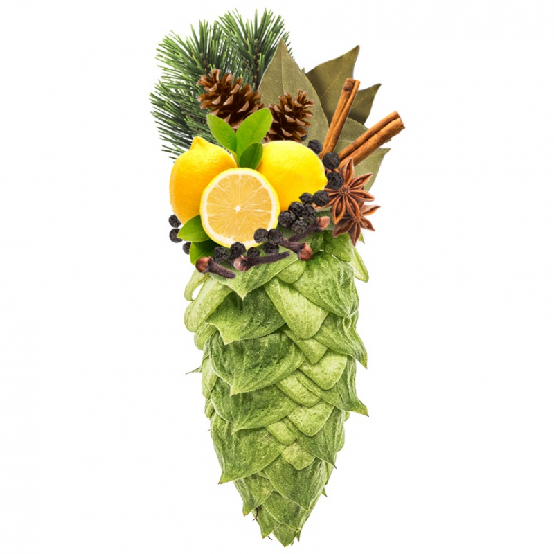 Produkt - Chmel Warrior (USA)