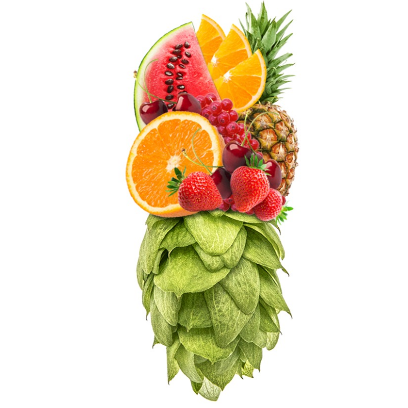 Produkt - Chmel Aloha (Německo)