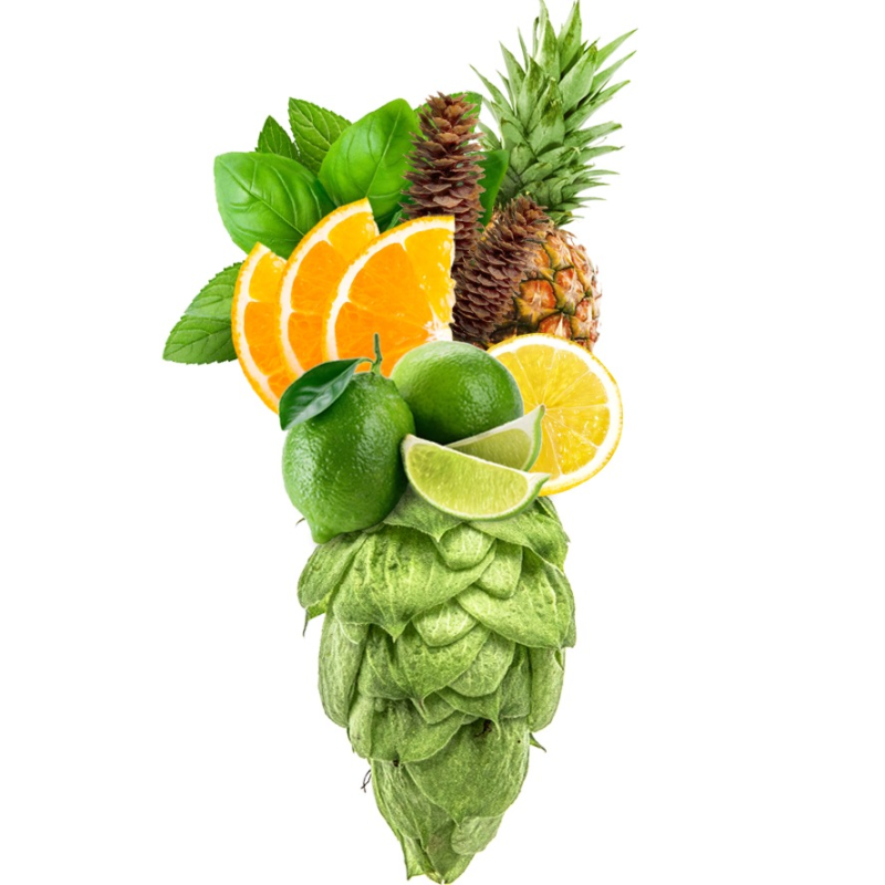 Produkt - Chmel Nugget (Německo)