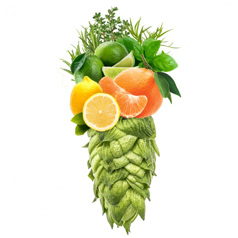 Produkt - Chmel Idaho 7 (USA)