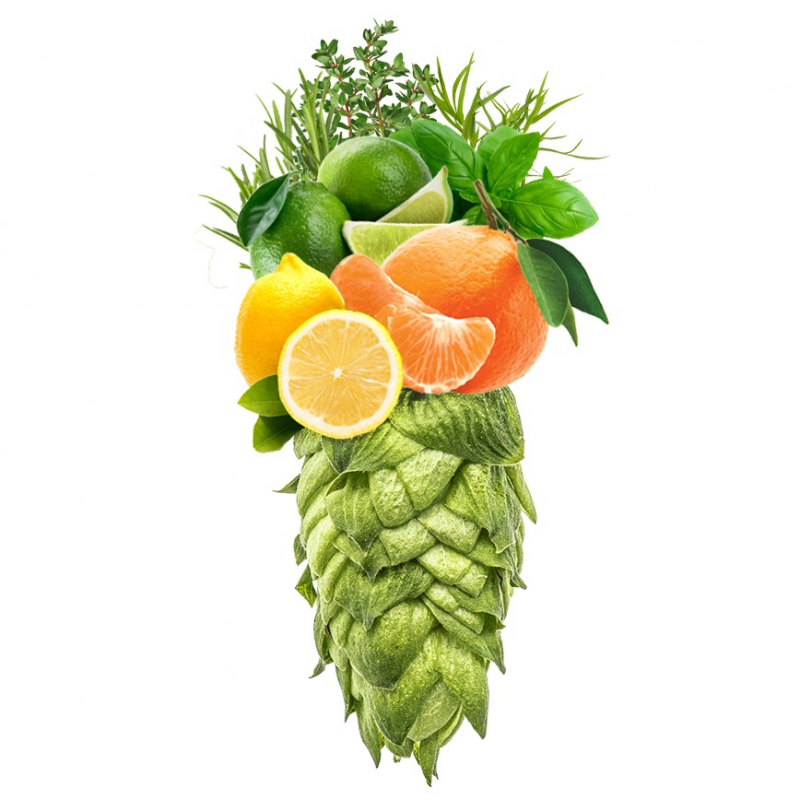 Produkt - Chmel Idaho 7 (USA)