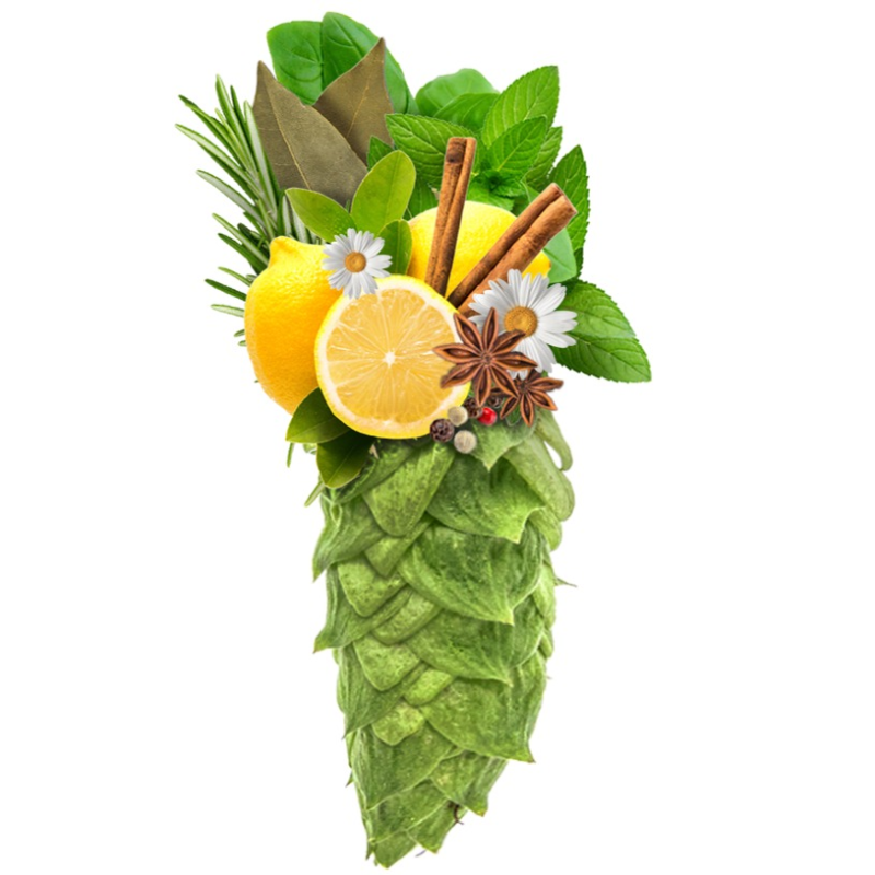 Produkt - Chmel Blues (Česká republika)