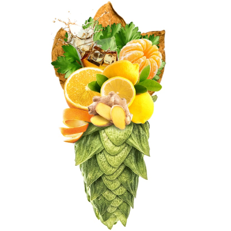 Produkt - Chmel Elixir (Francie)