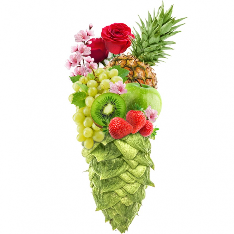 Produkt - Chmel Vic Secret (Austrálie)