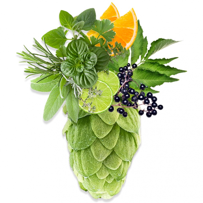 Produkt - Chmel Eris (Česká republika)