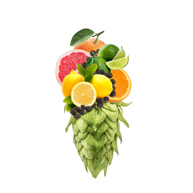 Produkt - Chmel Pacific Jade (Nový Zéland)