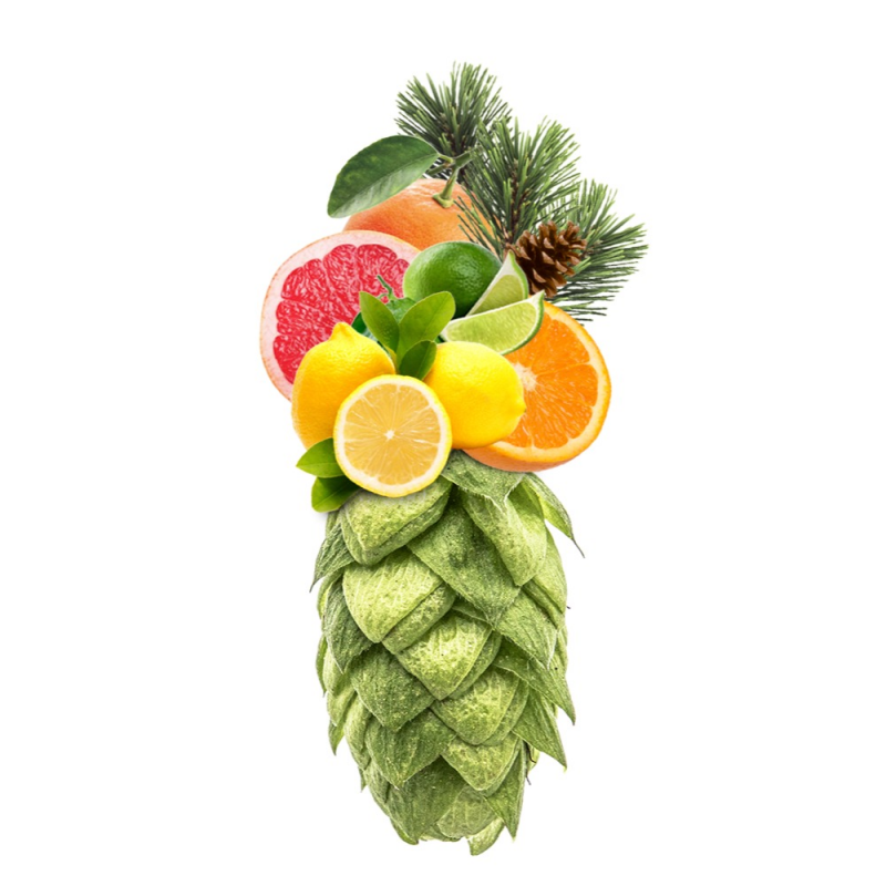 Produkt - Chmel Waimea (Nový Zéland)