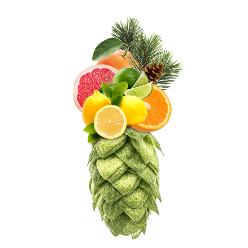 Produkt - Chmel Waimea (Nový Zéland)