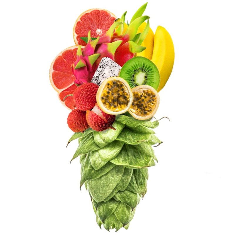 Produkt - Chmel Moutere (Nový Zéland)