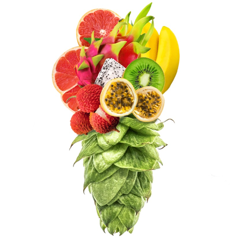 Produkt - Chmel Moutere (Nový Zéland)