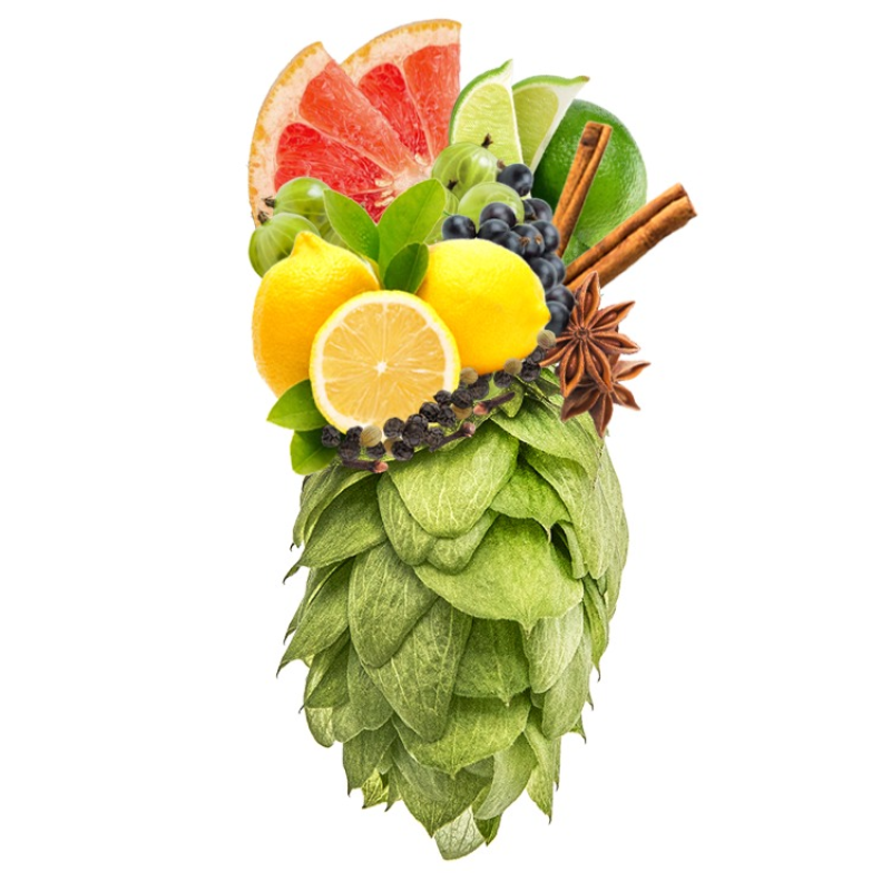 Produkt - Chmel Galena (USA)