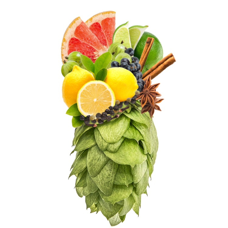 Produkt - Chmel Galena (USA)