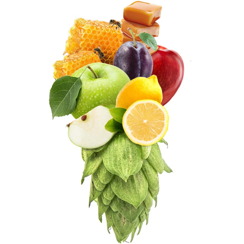 Produkt - Chmel Northern Brewer (Německo)