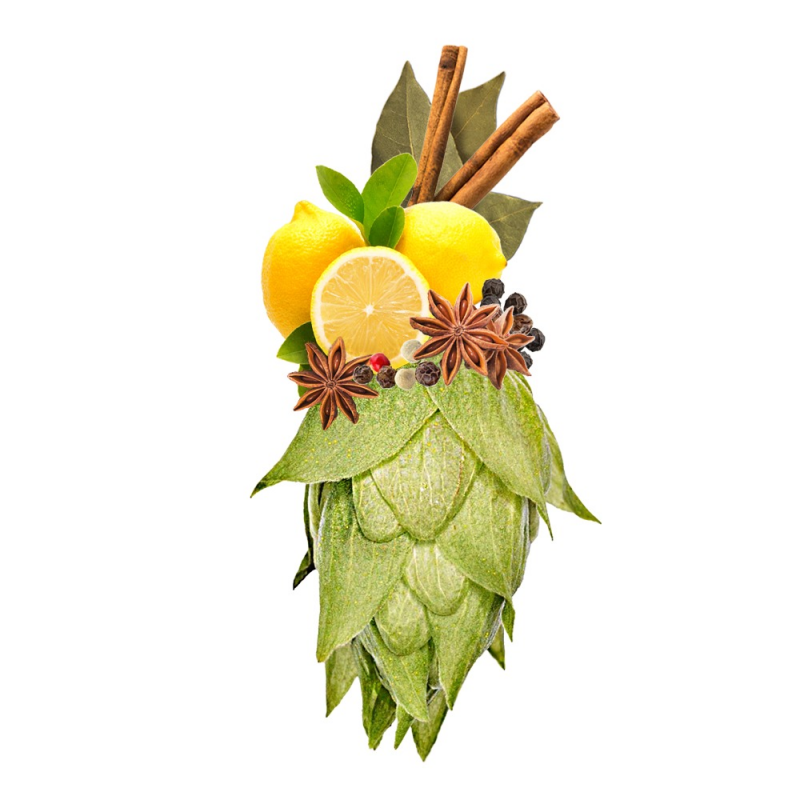 Produkt - Chmel Kazbek (Česká republika)