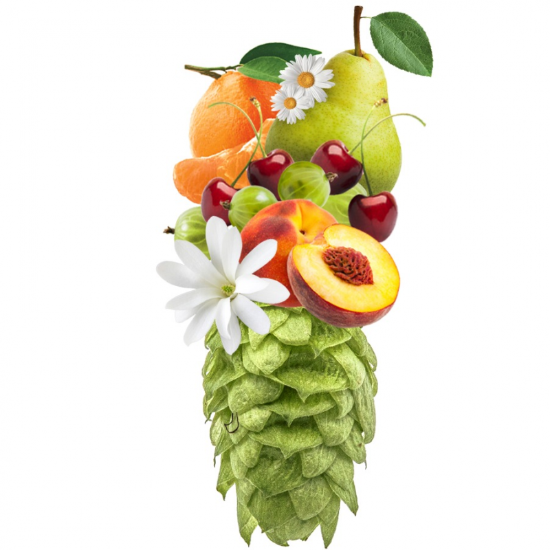 Produkt - Chmel Mosaic (USA)