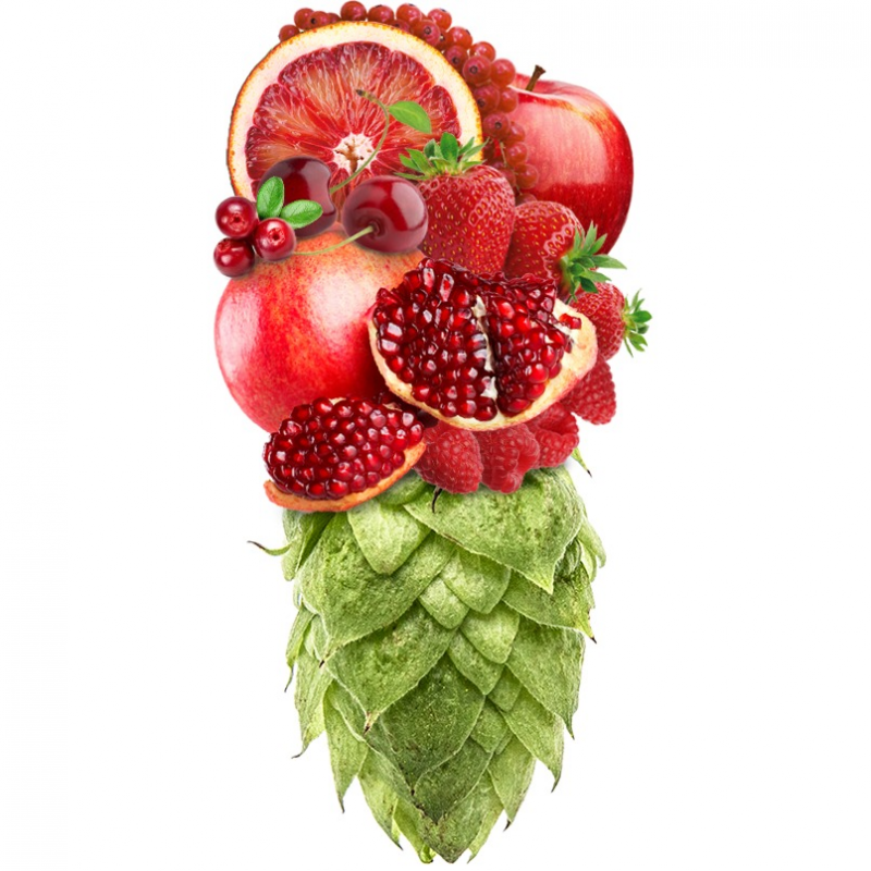 Produkt - Chmel Monroe (Německo)