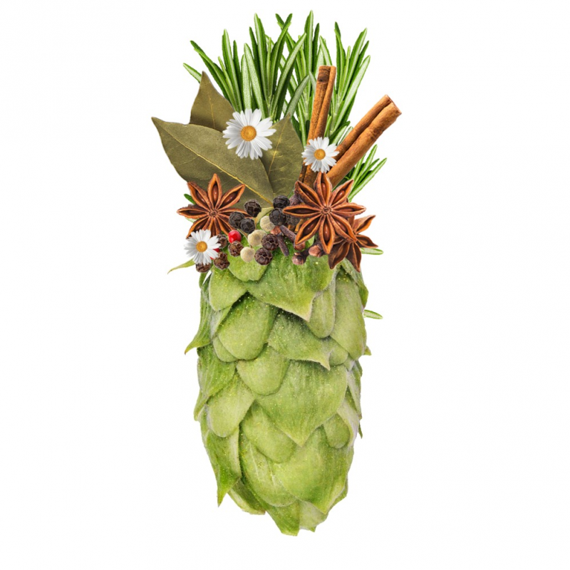 Produkt - Chmel Sládek (Česká republika)