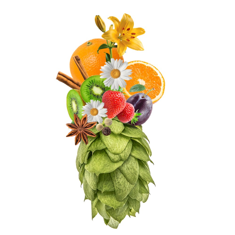 Produkt - Chmel Bohemie (Česká republika)