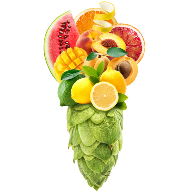 Produkt - Chmel Saturn (Česká republika)